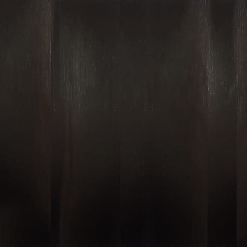 dąb -  BRĄZ 22-56.jpg