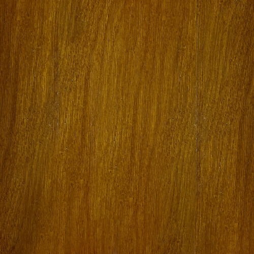 dąb -  BRUNAT 22-25.jpg