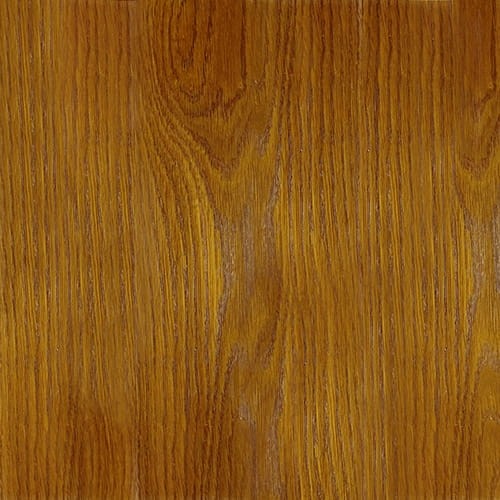 dąb -  ORANŻ 23-01.jpg