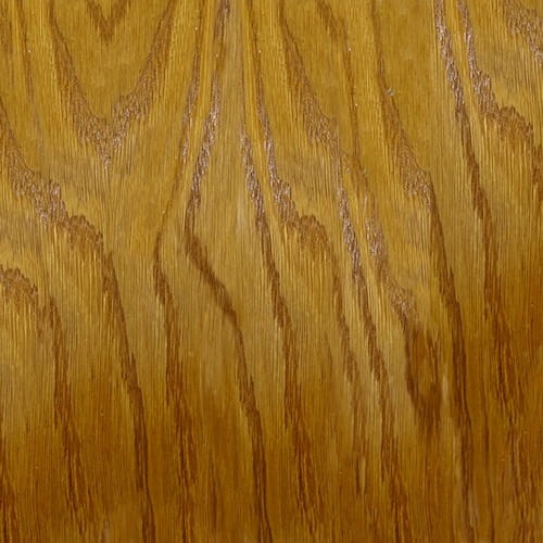 dąb -  ORANŻ 23-05.jpg