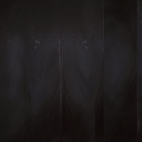 dąb -  WENGE BN 2441.jpg