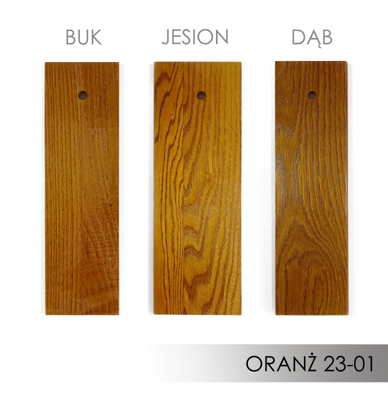 ORANŻ 23-01.png