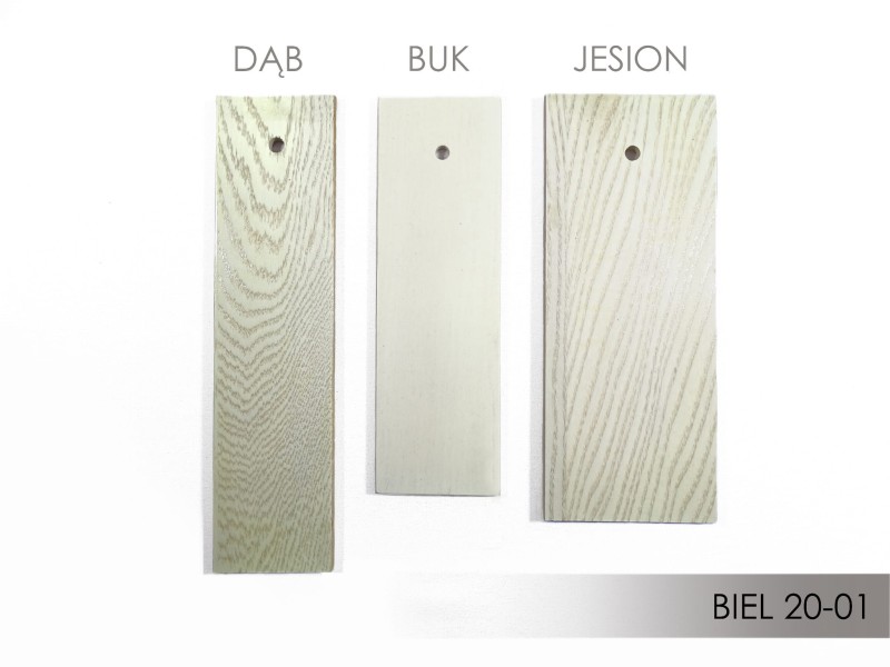 2. PS BIEL 20-01.jpg