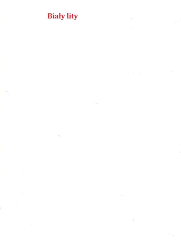 1. Biały lity.jpg